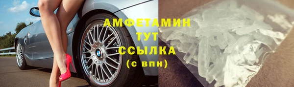 крисы Абаза