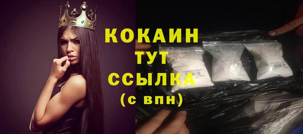 крисы Абаза