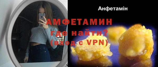 крисы Абаза