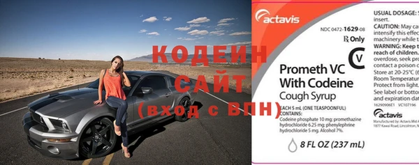 крисы Абаза